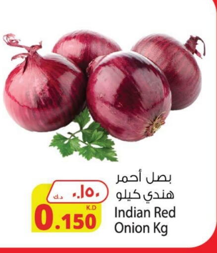 بصل from India available at شركة المنتجات الزراعية الغذائية in الكويت - محافظة الجهراء