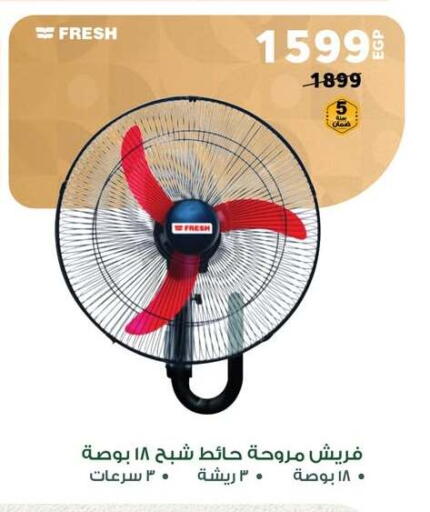 Small Appliances in Panda , Egypt Offers - Egypt Fan available at Panda in Egypt - Cairo