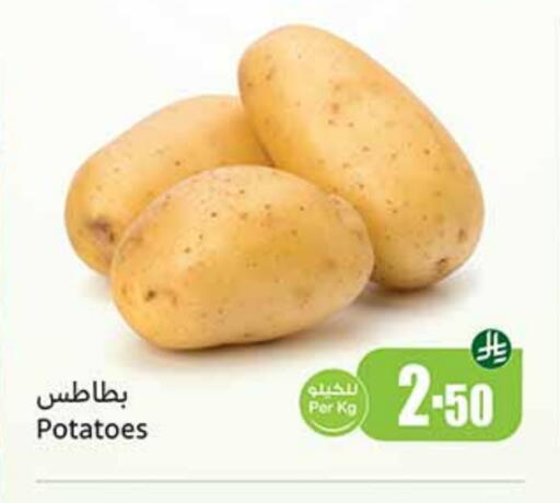 Potato available at Othaim Markets in KSA, Saudi Arabia, Saudi - Unayzah