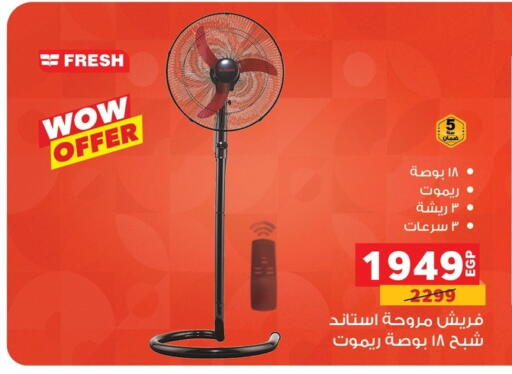 Small Appliances in Panda , Egypt Offers - Egypt Fan available at Panda in Egypt - Cairo