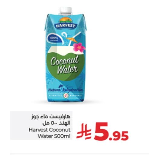 Coconut available at LULU Hypermarket in KSA, Saudi Arabia, Saudi - Tabuk