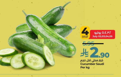 Cucumber from Saudi Arabia available at LULU Hypermarket in KSA, Saudi Arabia, Saudi - Jubail