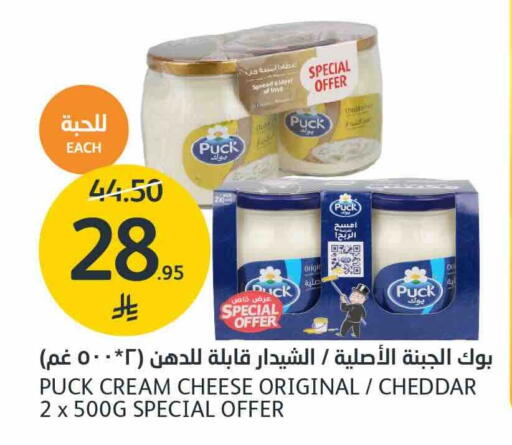 PUCK Cheddar Cheese available at AlJazera Shopping Center in KSA, Saudi Arabia, Saudi - Riyadh