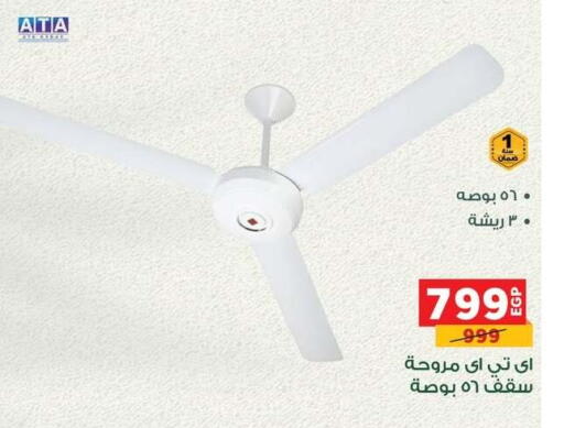 Small Appliances in Panda , Egypt Offers - Egypt Fan available at Panda in Egypt - Cairo
