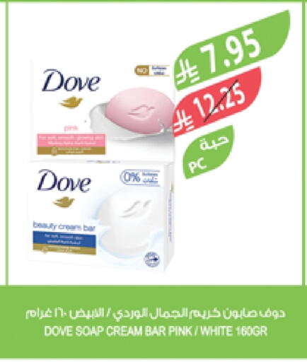 DOVE available at Farm  in KSA, Saudi Arabia, Saudi - Yanbu