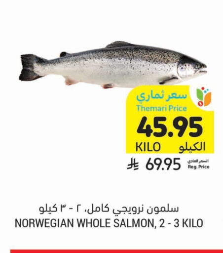 available at Tamimi Market in KSA, Saudi Arabia, Saudi - Abha