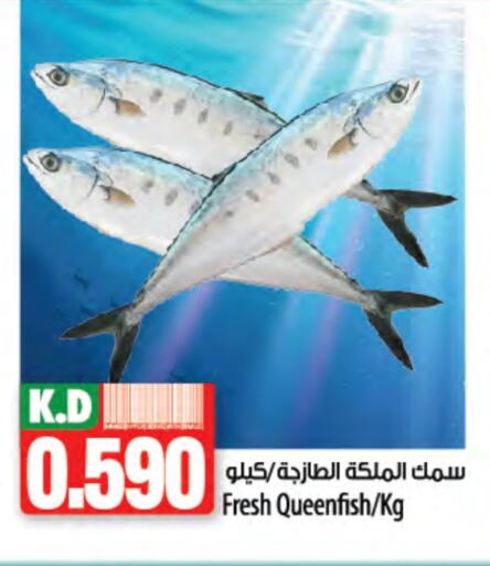 Mango available at Mango Hypermarket  in Kuwait - Ahmadi Governorate