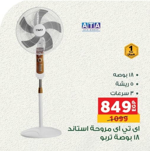 Small Appliances in Panda , Egypt Offers - Egypt Fan available at Panda in Egypt - Cairo