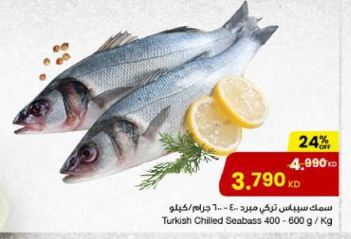 available at مركز سلطان in الكويت - محافظة الأحمدي