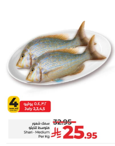 available at لولو هايبرماركت in مملكة العربية السعودية, السعودية, سعودية - تبوك