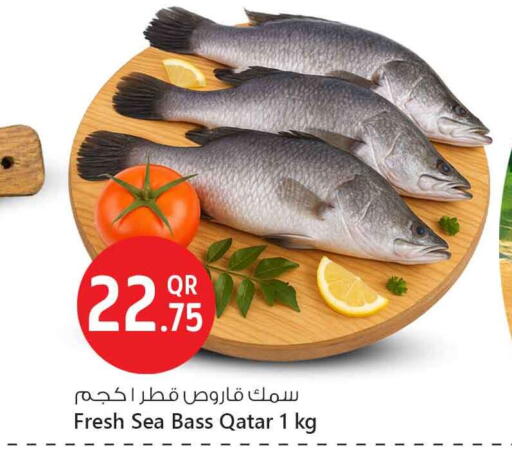 available at Safari Hypermarket in Qatar - Al Rayyan