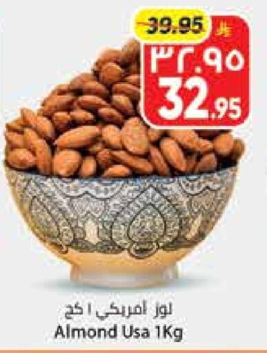 available at City Flower in KSA, Saudi Arabia, Saudi - Hail