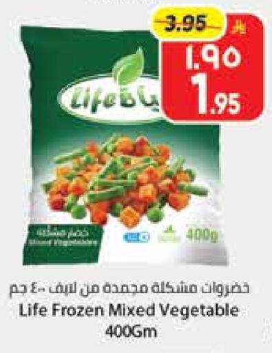 available at City Flower in KSA, Saudi Arabia, Saudi - Hail