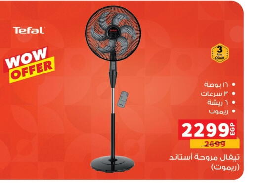 Small Appliances in Panda , Egypt Offers - Egypt Fan available at Panda in Egypt - Cairo