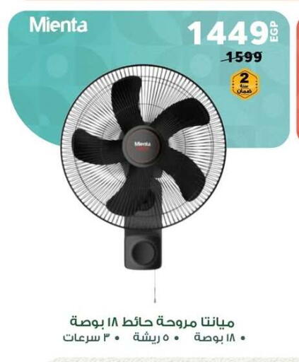 Small Appliances in Panda , Egypt Offers - Egypt Fan available at Panda in Egypt - Cairo