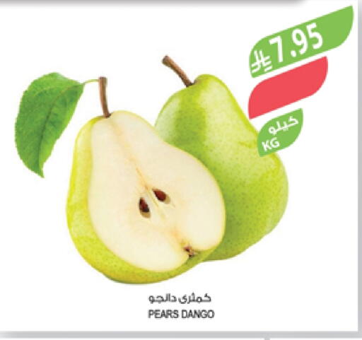 Pear available at Farm  in KSA, Saudi Arabia, Saudi - Abha