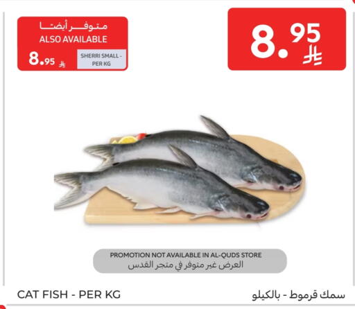 available at كارفور in مملكة العربية السعودية, السعودية, سعودية - جدة