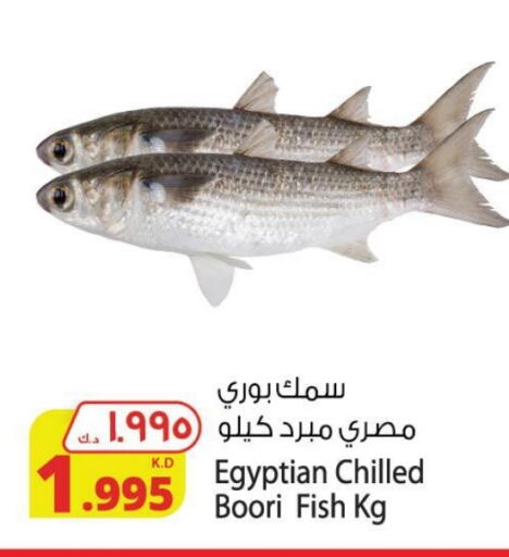 available at Agricultural Food Products Co. in Kuwait - Kuwait City