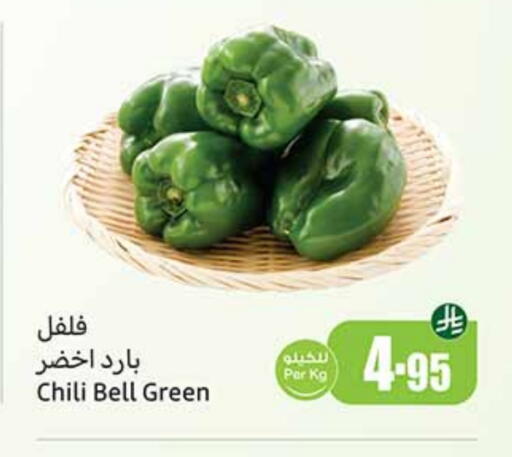 Fresh Vegetables in Othaim Markets, Saudi Arabia Offers - Saudi Arabia Chilli / Capsicum available at Othaim Markets in KSA, Saudi Arabia, Saudi - Al Majmaah
