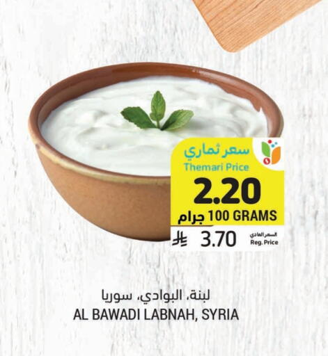زبادي و لبنة in أسواق التميمي, المملكة العربية السعودية Offers - المملكة العربية السعودية لبنة available at أسواق التميمي in مملكة العربية السعودية, السعودية, سعودية - حفر الباطن