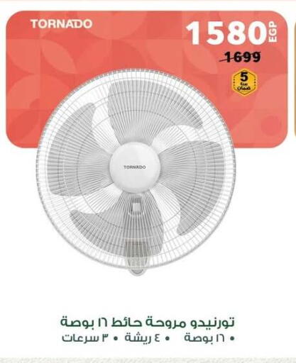 Small Appliances in Panda , Egypt Offers - Egypt Fan available at Panda in Egypt - Cairo