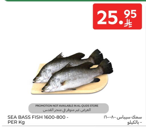 available at كارفور in مملكة العربية السعودية, السعودية, سعودية - جدة