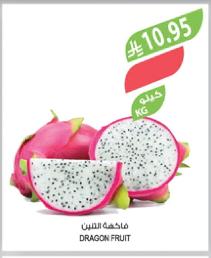 Dragon fruits available at Farm  in KSA, Saudi Arabia, Saudi - Khafji