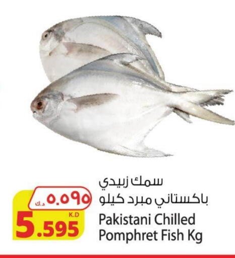 available at Agricultural Food Products Co. in Kuwait - Kuwait City