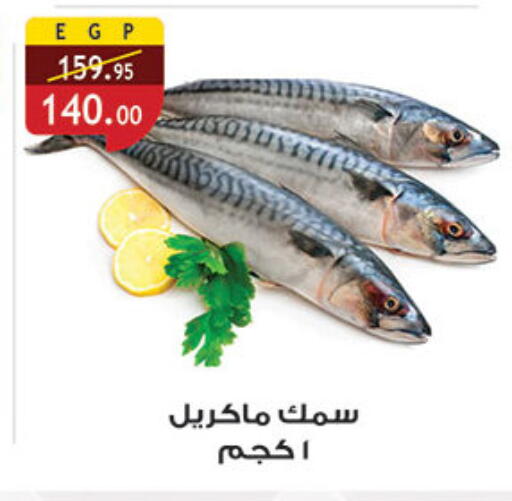 available at الرايه  ماركت in Egypt - القاهرة
