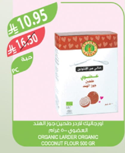 Coconut available at المزرعة in مملكة العربية السعودية, السعودية, سعودية - سكاكا