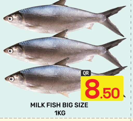 available at Majlis Hypermarket in Qatar - Doha