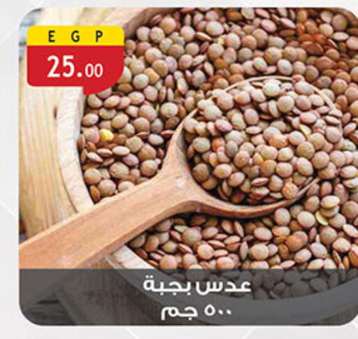 available at Al Rayah Market   in Egypt - Cairo