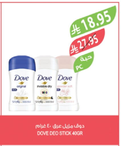 DOVE available at Farm  in KSA, Saudi Arabia, Saudi - Yanbu
