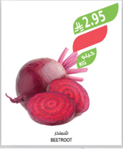 Beetroot available at Farm  in KSA, Saudi Arabia, Saudi - Al Hasa