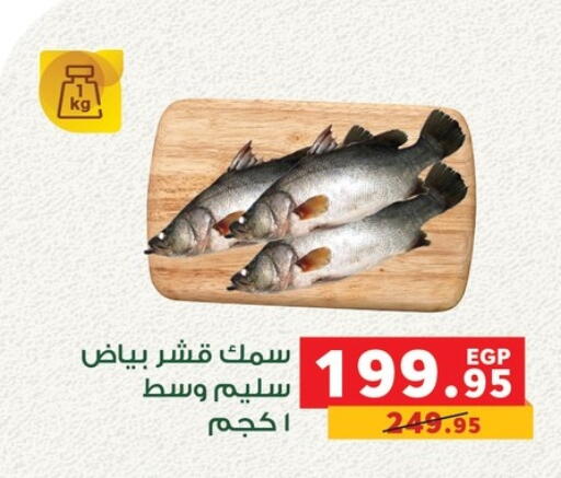 available at بنده in Egypt - القاهرة