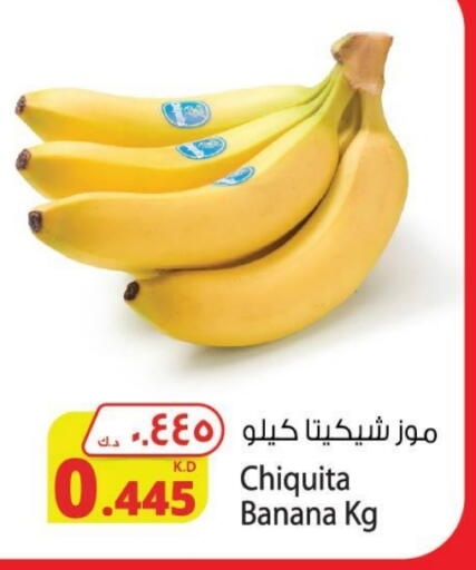 Banana available at Agricultural Food Products Co. in Kuwait - Kuwait City
