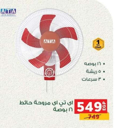 Small Appliances in Panda , Egypt Offers - Egypt Fan available at Panda in Egypt - Cairo