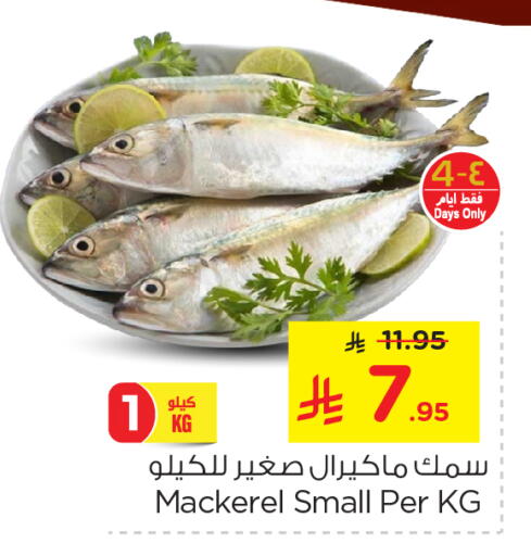 available at نستو in مملكة العربية السعودية, السعودية, سعودية - الجبيل‎