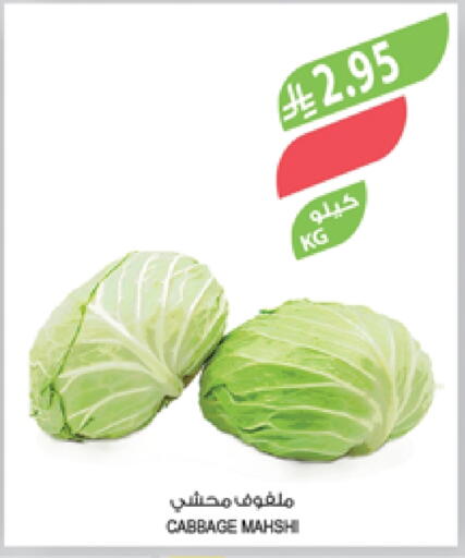 Cabbage available at Farm  in KSA, Saudi Arabia, Saudi - Al Hasa