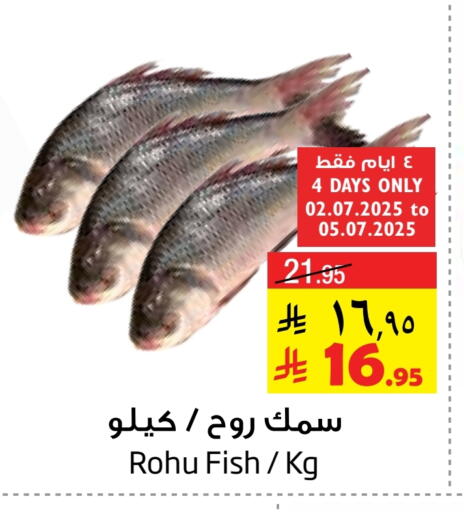 available at Layan Hyper in KSA, Saudi Arabia, Saudi - Al Khobar