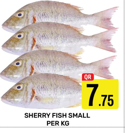available at Majlis Hypermarket in Qatar - Doha