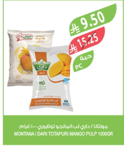 Mango available at Farm  in KSA, Saudi Arabia, Saudi - Jazan