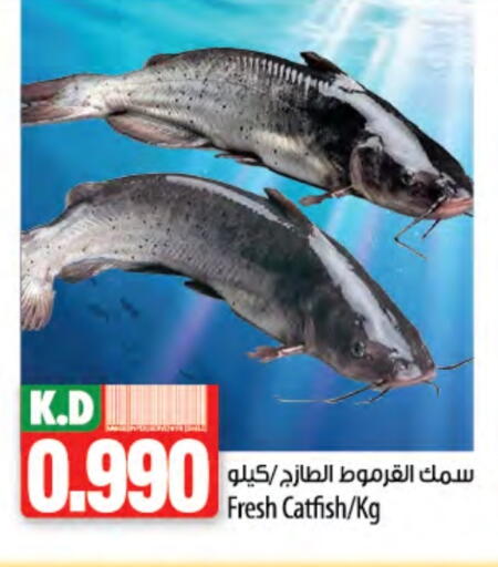 Mango available at Mango Hypermarket  in Kuwait - Kuwait City