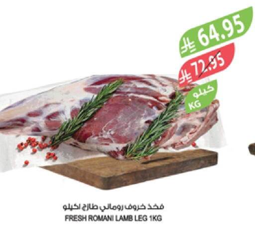 Mutton / Lamb available at Farm  in KSA, Saudi Arabia, Saudi - Al-Kharj
