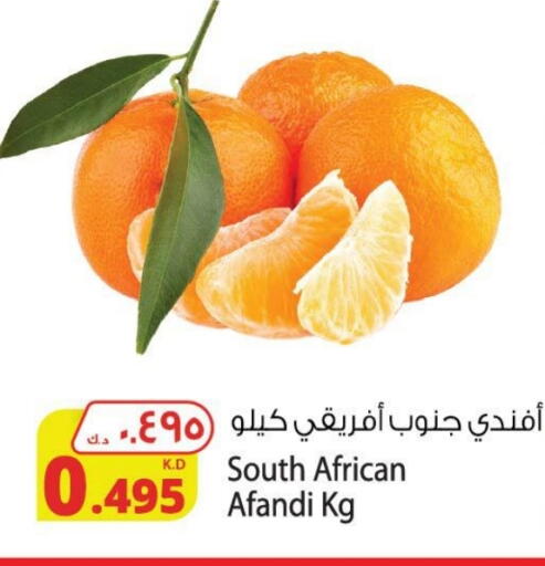 Orange from South Africa available at Agricultural Food Products Co. in Kuwait - Ahmadi Governorate