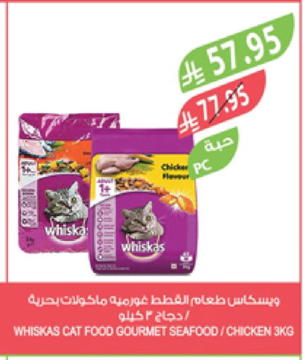 available at المزرعة in مملكة العربية السعودية, السعودية, سعودية - تبوك