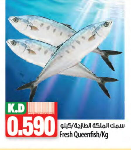 Mango available at Mango Hypermarket  in Kuwait - Kuwait City
