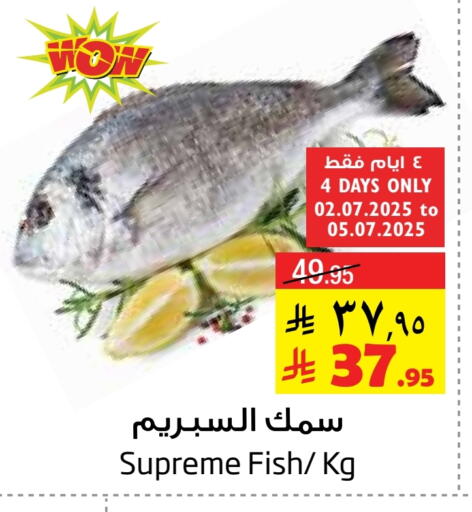available at Layan Hyper in KSA, Saudi Arabia, Saudi - Al Khobar