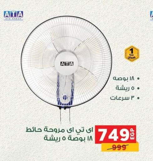 Small Appliances in Panda , Egypt Offers - Egypt Fan available at Panda in Egypt - Cairo