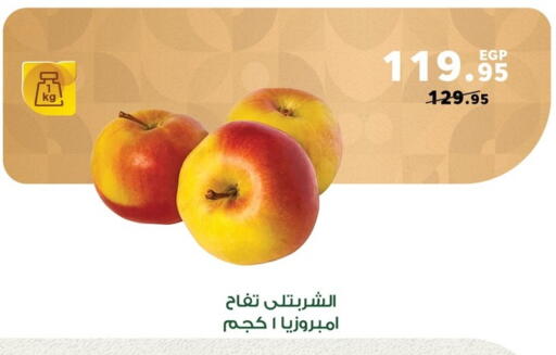 Apples available at Panda  in Egypt - Cairo